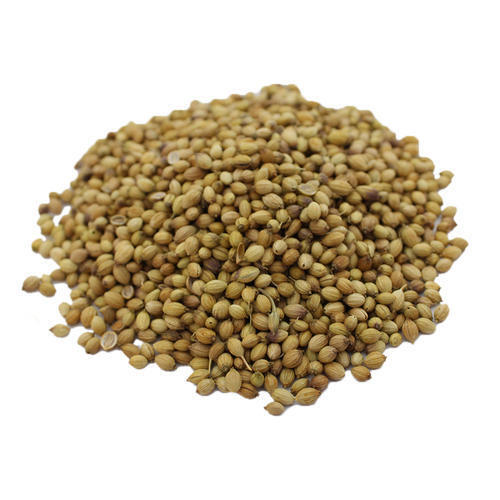 100% Pure Spicy Tasty Dried Brown Coriander Seeds