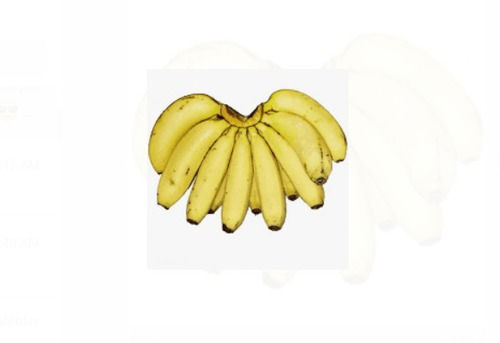 Delicious Rich Natural Delicious Sweet Taste Healthy Yellow Fresh Banana