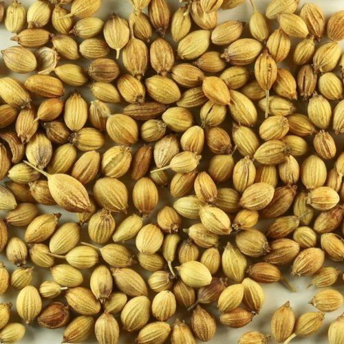 Light Yellow 100% Pure Aromatic And Flavourful Indian Origin Naturally Grown Coriander Seeds