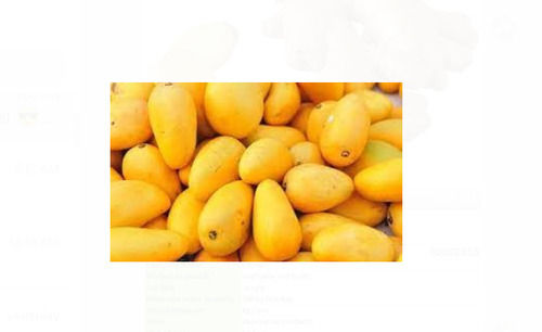 Sweet Delicious Rich Natural Fine Taste Healthy Yellow Fresh Mango