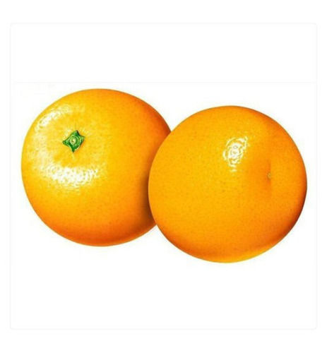 Healthy Juicy Delicious Natural Rich Taste Fresh Malta Orange