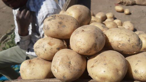 Good For Health Pesticide Free No Artificial Flavour Organic Brown A Grade Potatoes