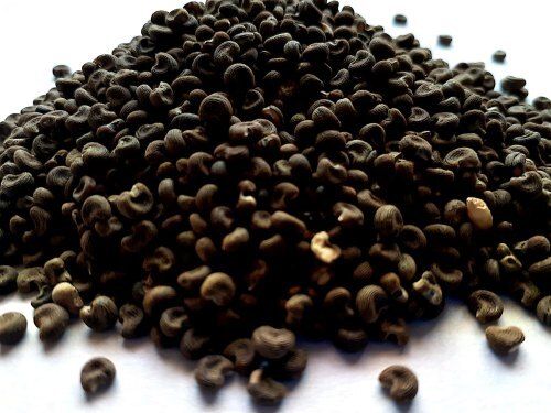 Black Green A Grade Kasturi Lady Finger Seeds