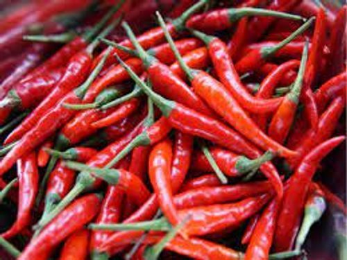 Elongated Premium Hot Dried Whole Spices Red Chilli 