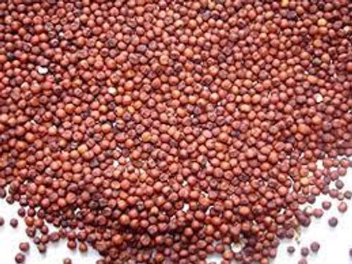 Red One Of The Most Nutritious And Healthy Cereals Ragi 