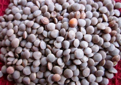 Rich In Proteins Chemical And Preservatives Free Unpolished Black Masoor Dal