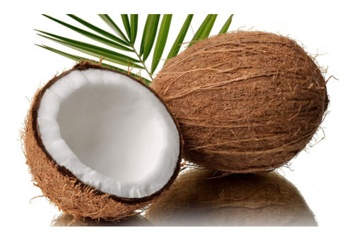भूरा गोल आकार शुद्ध और प्राकृतिक स्वस्थ विटामिन खनिज समृद्ध ताजा नारियल 