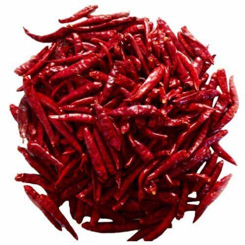 Hot Spicy Aromatic And Flavorful Naturally Grown Red Chilli