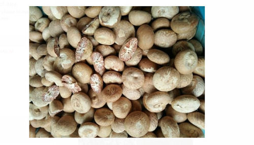 100% Natural Healthy Organic And Fresh Commonly Cultivated Brown Raw Betel Nuts