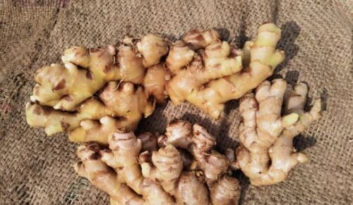 100 Percent Fresh And Natural Brown Ginger With High Nutritious Value And Taste
