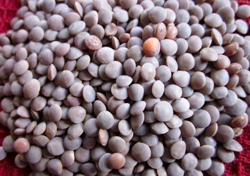 A Grade 100 Percent Pure Fresh And Natural High Rich Protein Black Masoor Dal