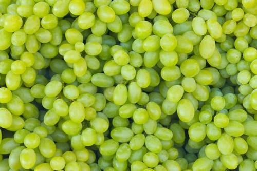 Natural And Pure Fresh Green Grapes With Sweet Sour Juicy Healthy Snack