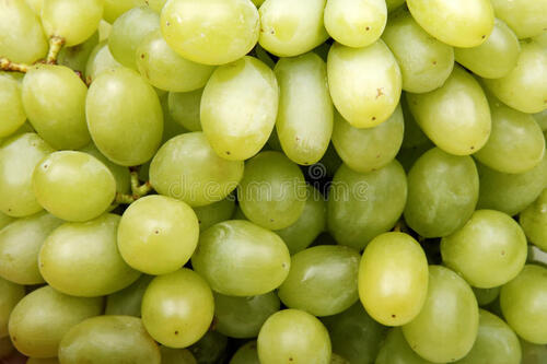 Natural Organic Round Fresh Green Grapes Sweet And Juicy Healthy Snack