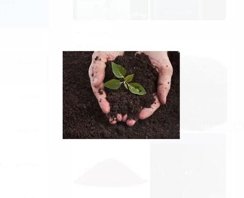 Organic Bio Nitrite Fertilizer For Fixing Atmospheric Nitrogen In The Soil