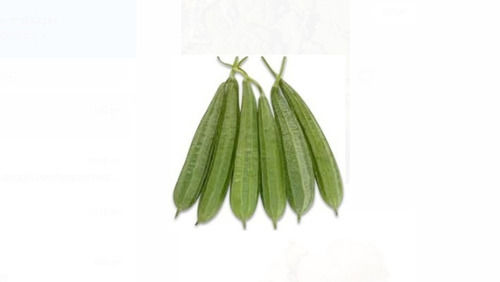 100% Fresh And Organic Cultivated Sponge Gourd Rich With High Fiber Moisture (%): 60%