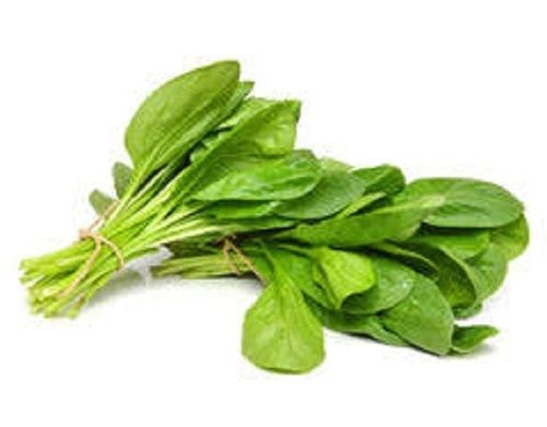 Green Real Nature Spinach Seeds (Palak) Great Source Of Iron, Vitamins A, C And K