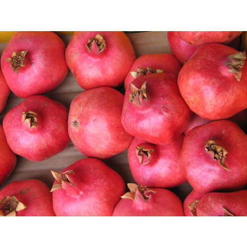 Sweet And Organic Juicy Healthy Snack Red Fresh Round Pomegranate Natural