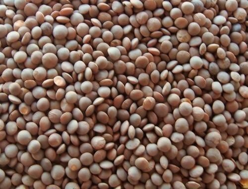 A Grade 100 Percent Pure Fresh And Natural High Rich Protein Black Masoor Dal