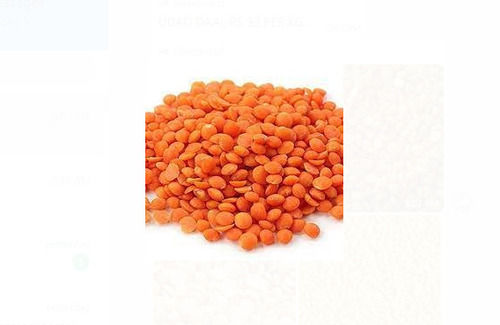 A Grade Pure Red Masoor Dal With High Nutritious Value And Taste Broken (%): 1 %