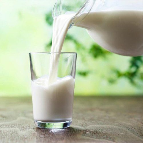 Multiple Benefits Rich Source Of Protein Fiber Rich Tasty And Healthy White Cow Milk
