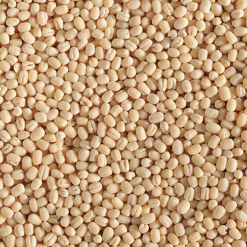 100% Pure And Natural White Dried Healthy Protein Rich Fresh Urad Dal For Cooking  Broken (%): 1