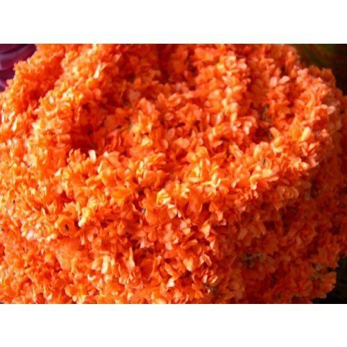 Orange Fragrance Natural And Fresh Improve Blood Circulation Kanakambaram Flower 