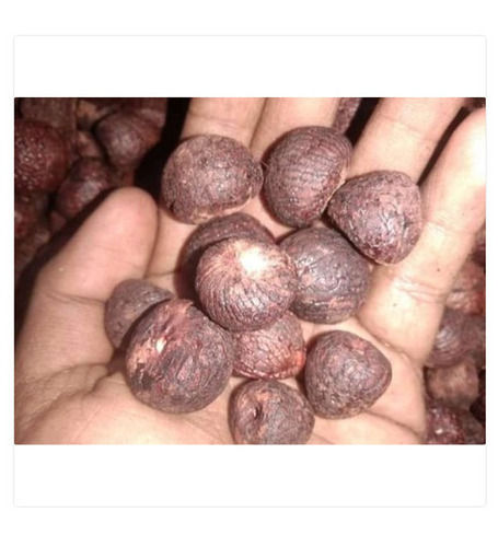 100% Dried Lali Betel Nut With High Nutritious Value And A Grade