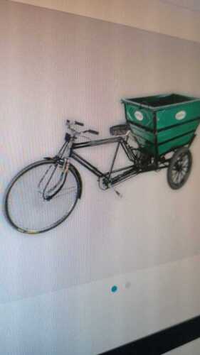 Dustbin Rickshaw