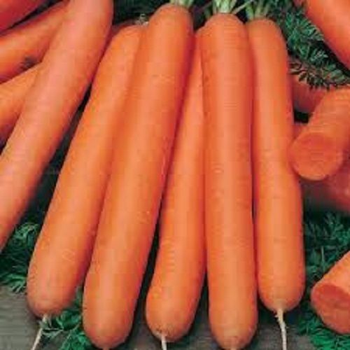  खाना पकाने के लिए 100% प्राकृतिक शुद्ध ऑर्गेनिक कुरकुरे और मीठे ताजे लाल गाजर 