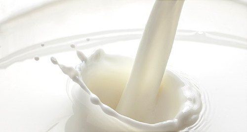 Rich In Calcium Nutritious Good Taste Fresh Enriched With Proteins Natural Healthy Creamy White Cow Milk