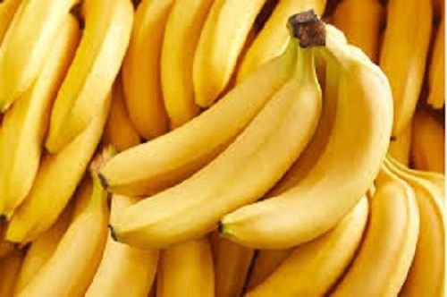 Rich In Fiber Tasty And Healthy Natural Fresh Yellow Cavendish Banana Fruit