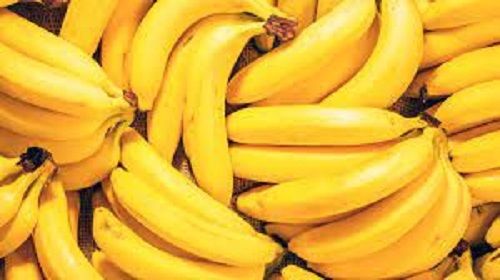 Rich In Potassium And Vitamin Healthy Tasty Delicious Natural Yellow Banana 