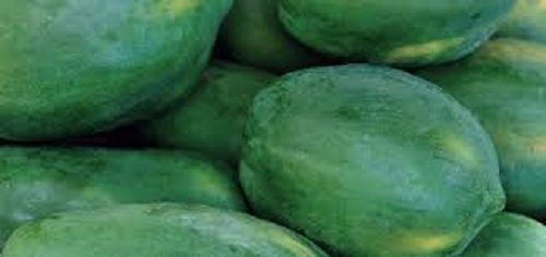 Rich Taste Delicious And High Levels Of Antioxidants Fresh Green Papayas