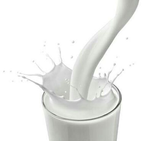 High Grade And Calcium Rich Cow Milk Rich In Calcium, Natural Hygienically Packed, Rich In Proteins Age Group: Adults