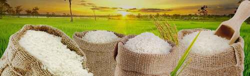  खाना पकाने के लिए लंबे दाने वाला गैर बासमती चावल (प्रोटीन में उच्च) 