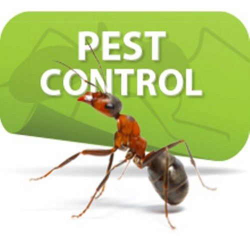 Ant Pest Control Service For Residential And Commercial Places