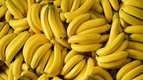 Commonly Cultivated Indian Originated Sweet Oblong Shaped Fresh Banana