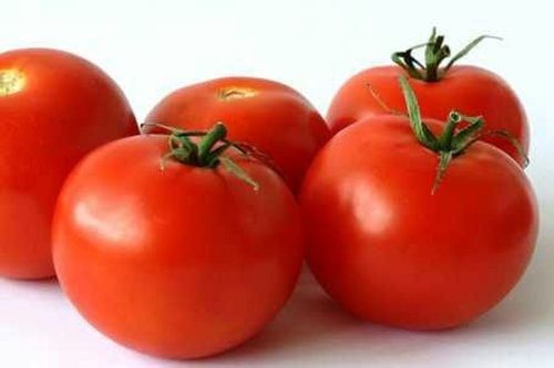 Fresh Moisture 94% Round Shape Raw Red Tomato