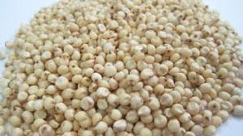Healthy Versatile Crop Dietary Fibre Natural -Sorghum Grains 