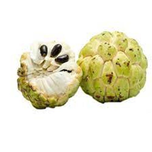 High Calorific Value Delicious In Nature Fresh Custard Apple General Medicines