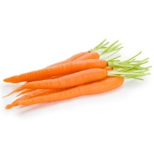 Long Natural And Healthy Vitamins Minerals Antioxidants Enriched Orange Fresh Carrot 