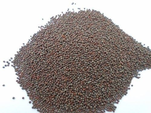 Black 100% Original And Pure Natural Mustard Seeds With 18 Months Shelf Life