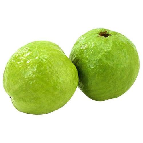 1kg Green Round Fresh And Natural Sweet Guava Fruit