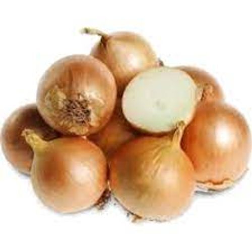 Antioxidant Anti-Inflammatory Organic Fresh Brown Onion Shelf Life: 6 Months