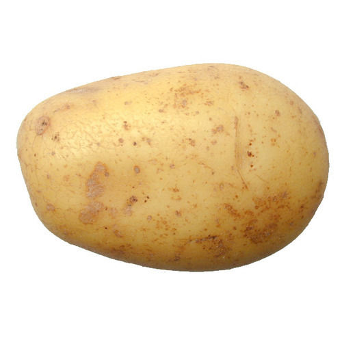 High Potassium Vitamin C And Iron Farm Indian Origin Naturally Protein Fresh Potato