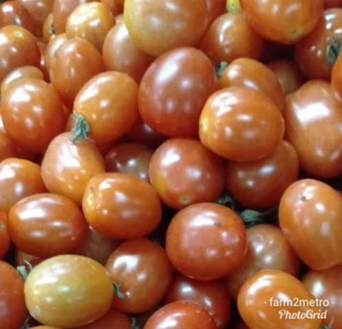 Round 100 Percent Healthy And Good Quality Fresh Red Tomato For Cooking, Salad