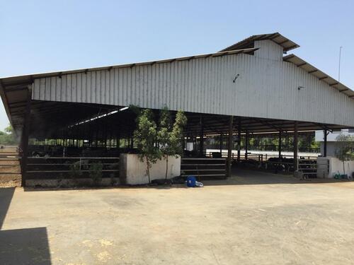 Dairy Shed Construction Service For Prefabricated And Portable Buildings