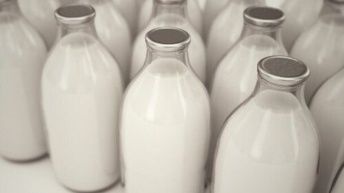 High Source Of Vitamin A And B12 Organic Farm Fresh Protein Rich Cow Milk 