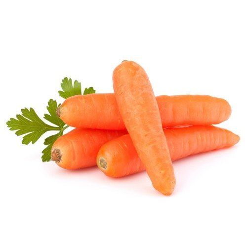 Long Shape Moisture 89% Raw Fresh Carrot