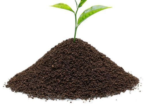 Black Most Popular And Best Selling Assam Tea Powder 